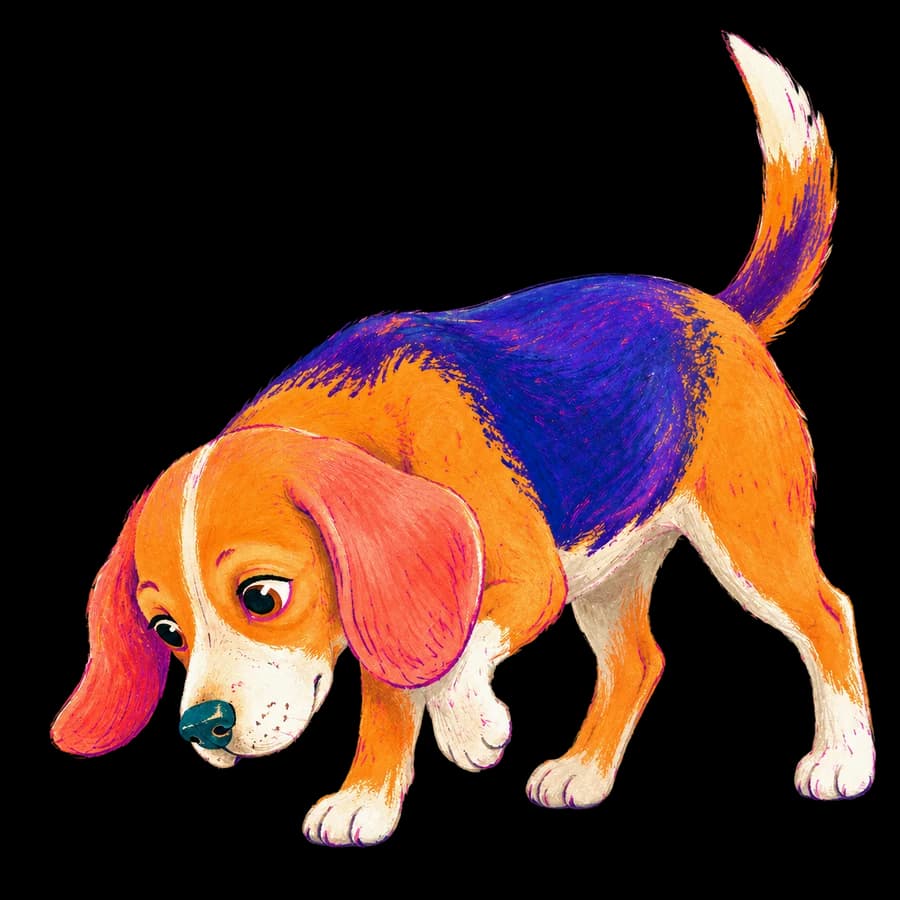 Colorful beagle illustration